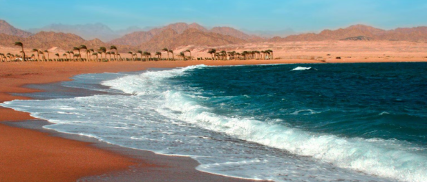 Nabq: Where the Desert Meets the Sea